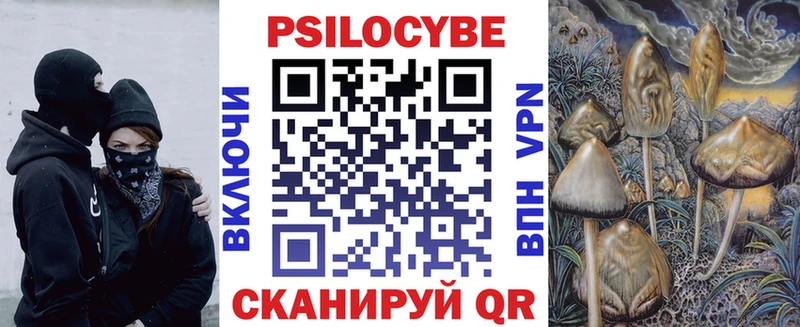 наркотики Каменка блэк спрут зеркало даркнет Telegram Псилоцибиновые грибы прущие грибы